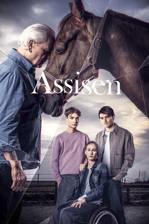 Assisen The Insulin Murder poster