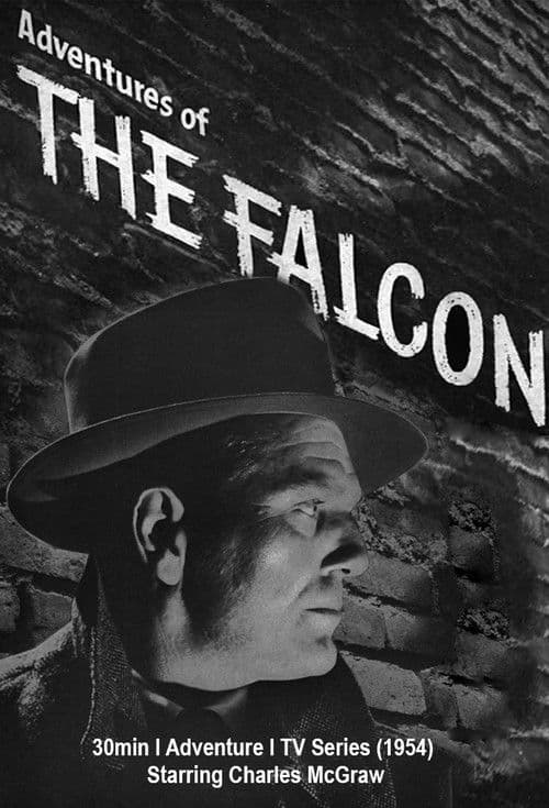 Adventures Of The Falcon Season 1 poster