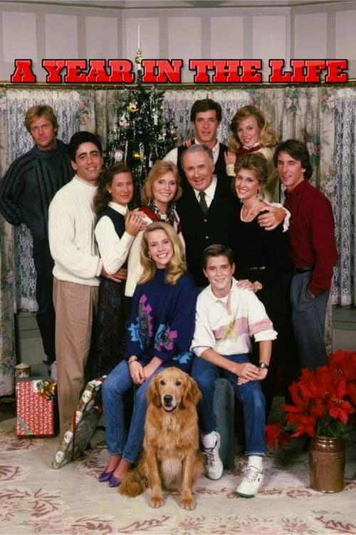 A Year in the Life Miniseries poster