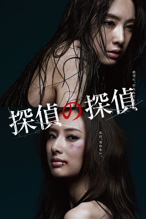 Detective versus Detectives Season 1 poster