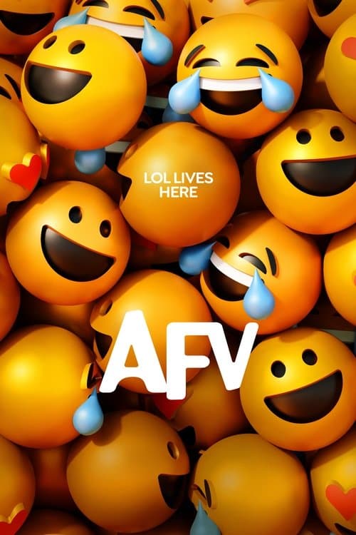 America's Funniest Home Videos Season 2 poster