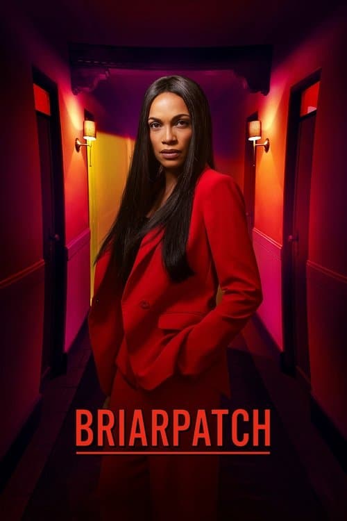 Briarpatch Season 1 poster