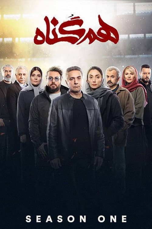 The Accomplice Season 1 poster