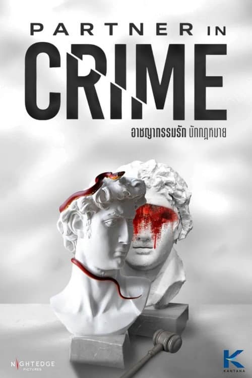Partner in Crime Season 1 poster