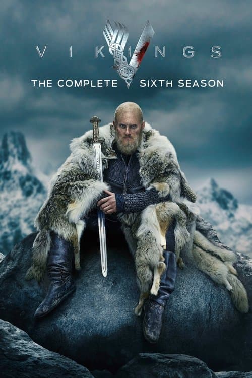 Vikings Season 6 poster