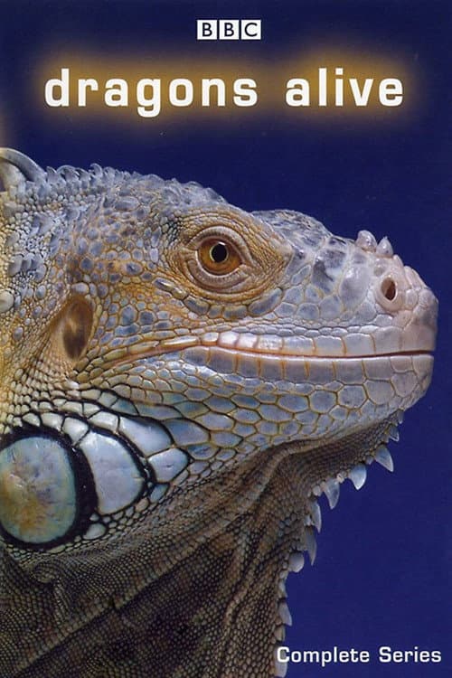 Dragons Alive Season 1 poster