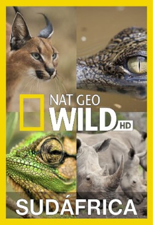 Wild South Africa Season 1 poster