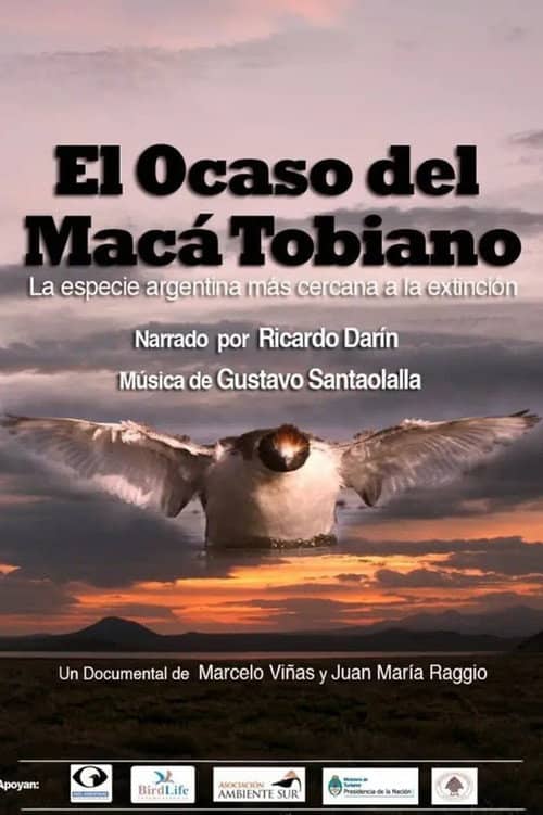 El Ocaso del Macá Tobiano