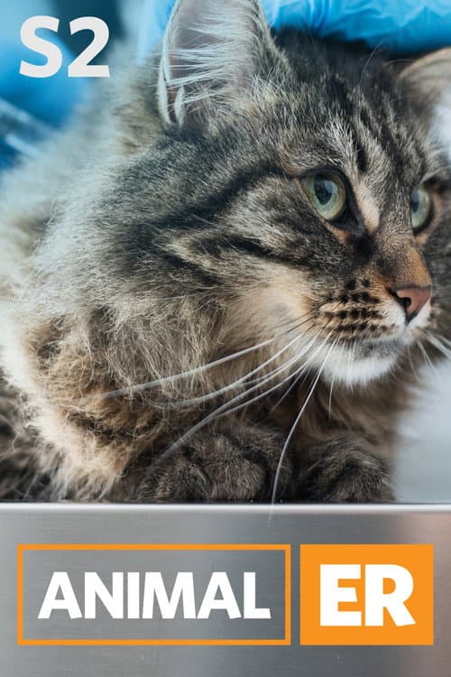 Animal ER Season 2 poster