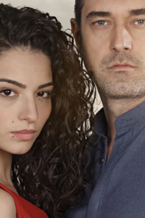Love Is in the Air Season 3 poster