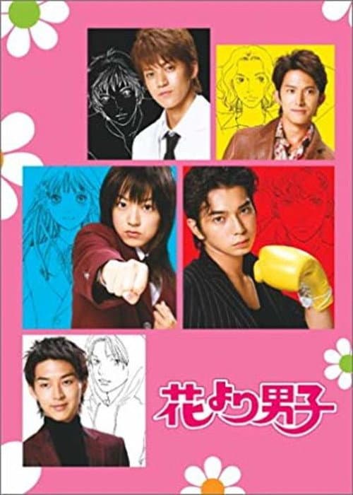 BOYS OVER FLOWERS BOYS OVER FLOWERS poster