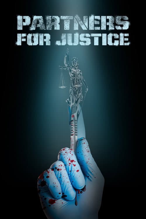 Partners for Justice Season 1 poster