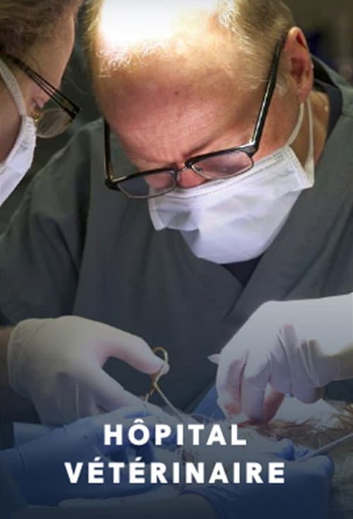 Hôpital vétérinaire Season 2 poster