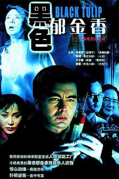 黑色郁金香 Season 1 poster