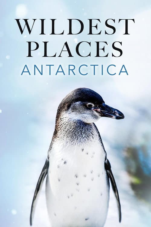 Wildest Places Wildest Antarctica poster