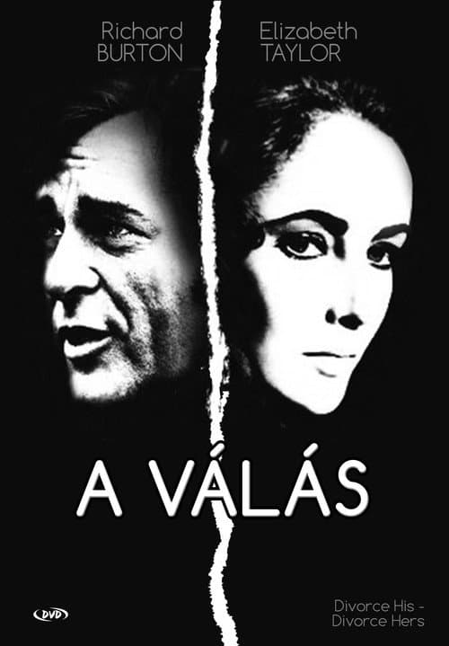 Divorce His, Divorce Hers Miniseries poster