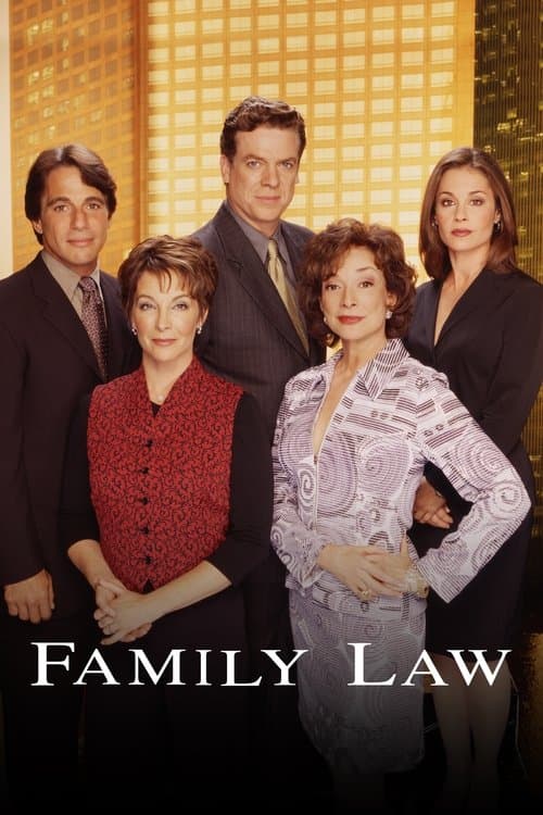 Family Law Season 2 poster