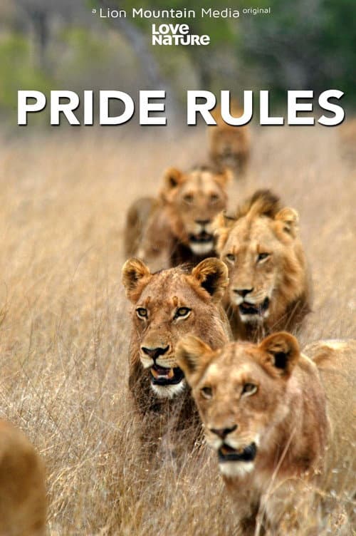 Pride Rules Season 1 poster