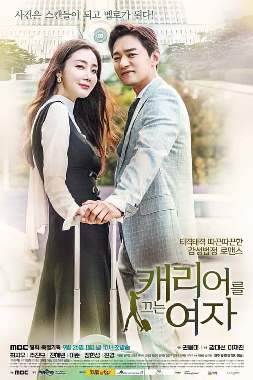 Woman with a Suitcase Season 1 poster