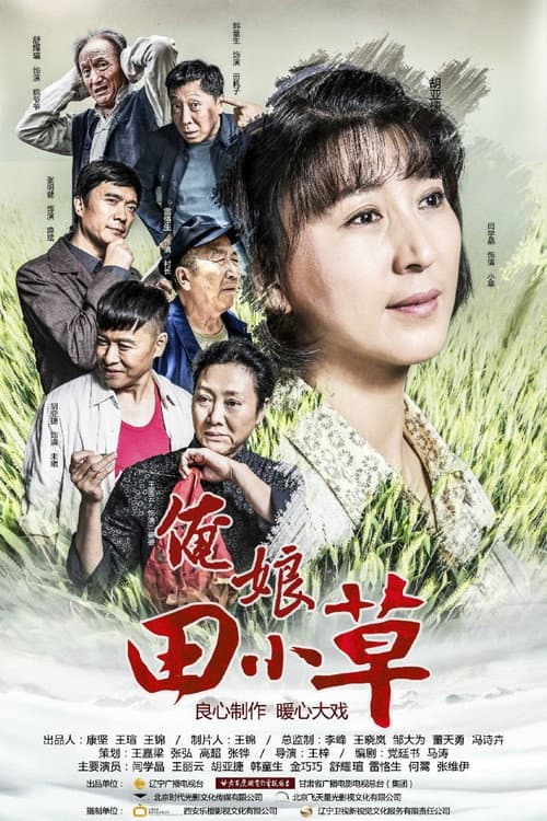 俺娘田小草 Season 1 poster