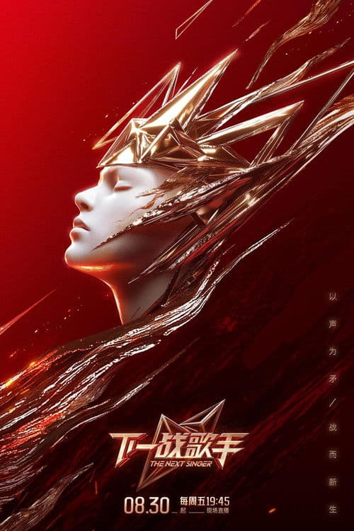 The Next Singer Season 1 poster