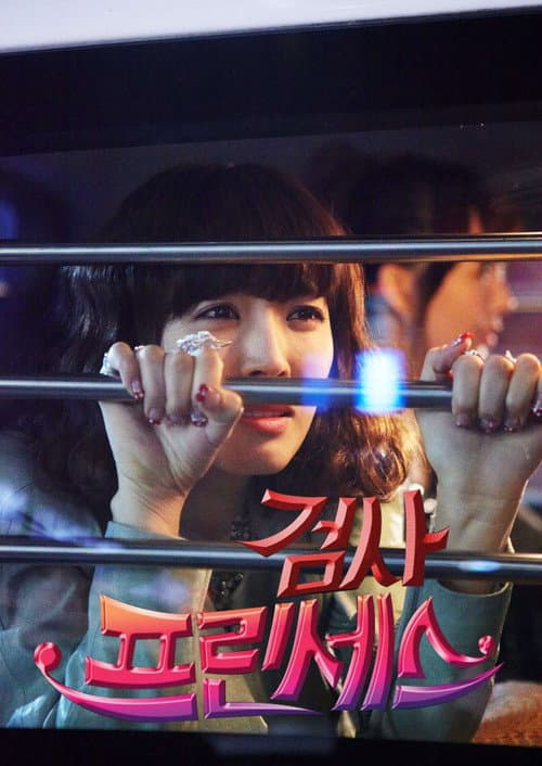 Prosecutor Princess Season 1 poster