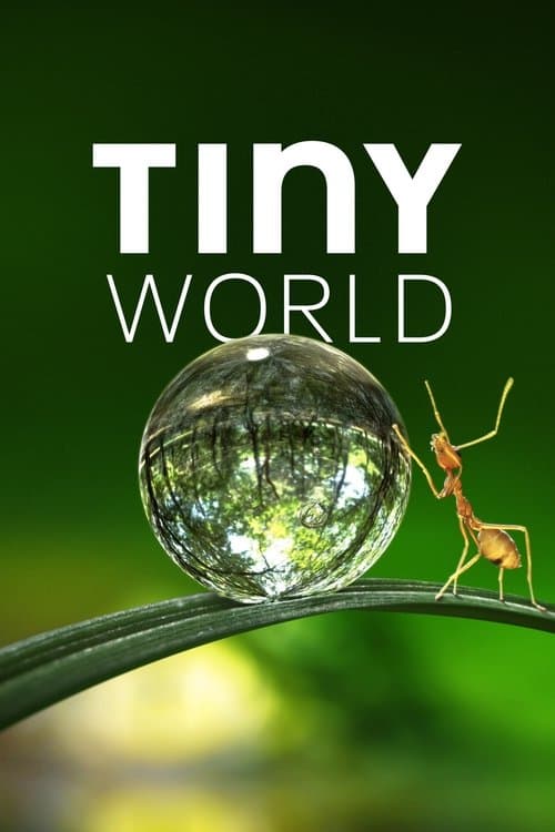 Tiny World Season 1 poster