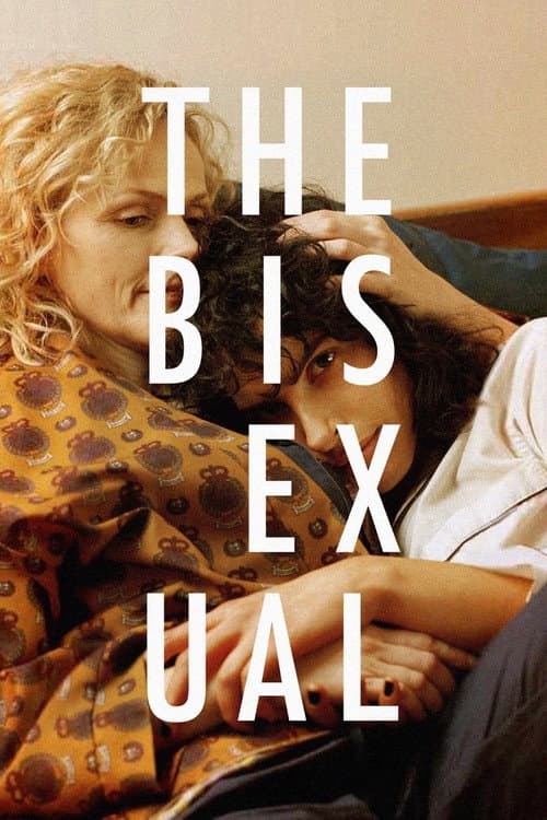 The Bisexual Miniseries poster