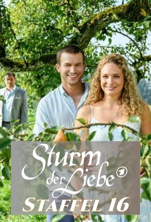 Sturm der Liebe Season 16 poster