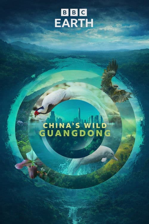 China's Wild Guangdong Season 3 poster