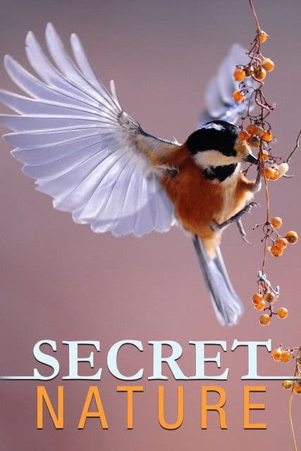 Secret Nature Season 1 poster