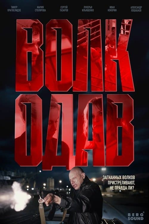 Волкодав Season 1 poster
