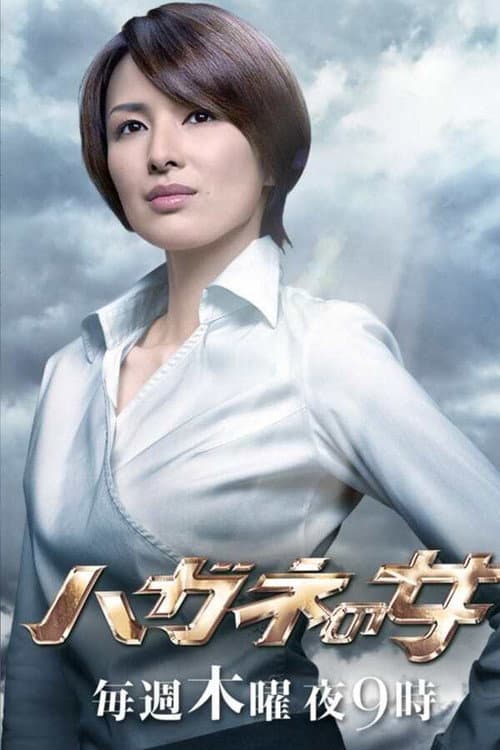 Hagane no Onna Hagane no Onna Season 2 poster