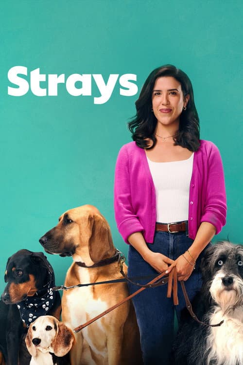 Strays Season 2 poster