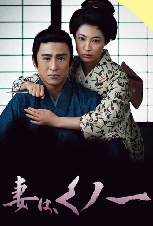 My Wife is Ninja Season 2 poster