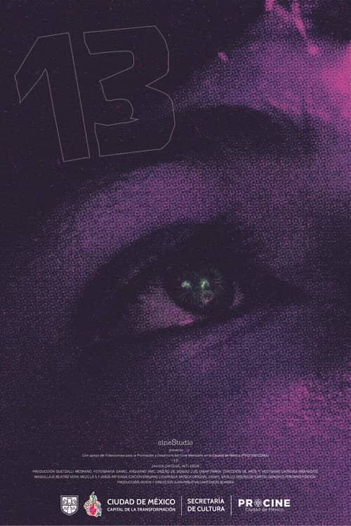 13