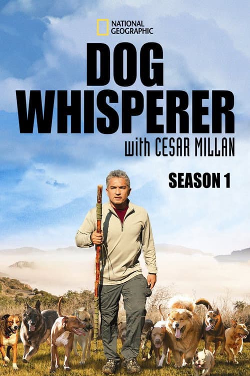 Dog Whisperer Season 1 poster