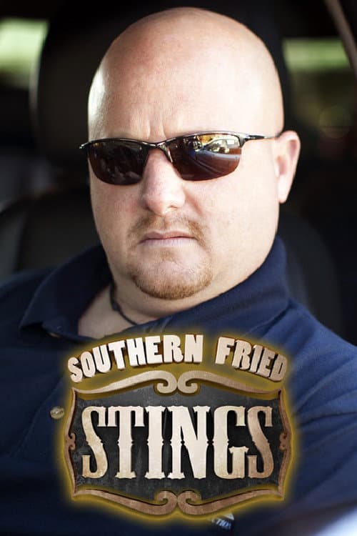 Southern Fried Stings Season 2 poster