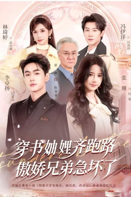 The Wealthy Sisters-In-Law All Ran Away, and the Arrogant Brothers Went Crazy with Worry Season 1 poster
