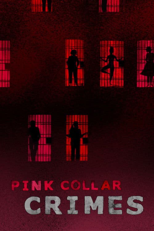 Pink Collar Crimes Season 1 poster