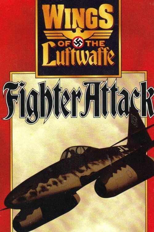 Wings Wings of the Luftwaffe poster