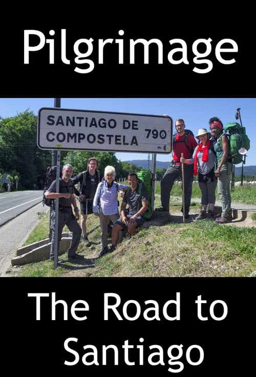 Pilgrimage The Road to Santiago poster