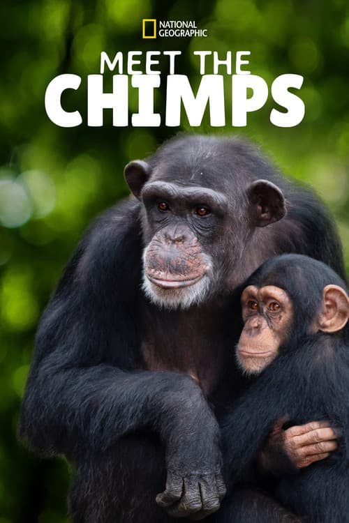 Meet the Chimps Season 1 poster