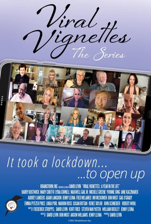 Viral Vignettes Season 1 poster