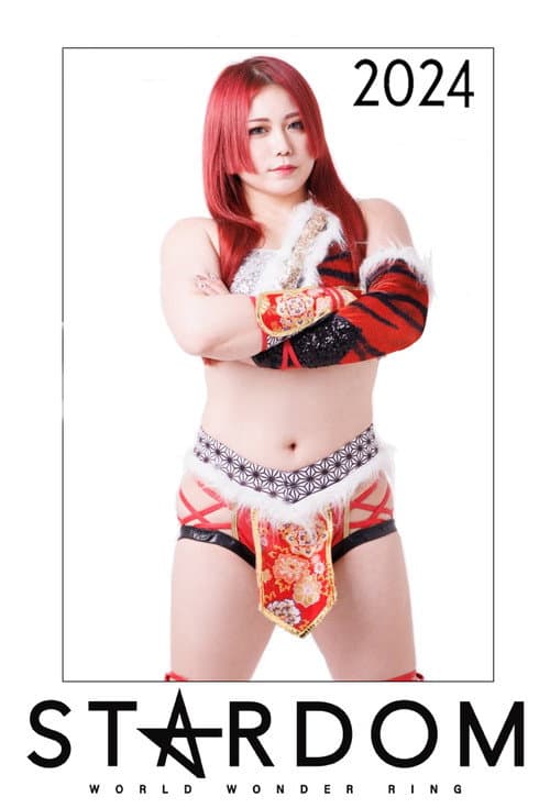 Stardom on Stardom World 2024 poster