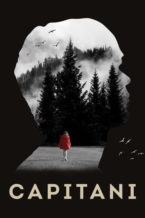 Capitani Season 1 poster