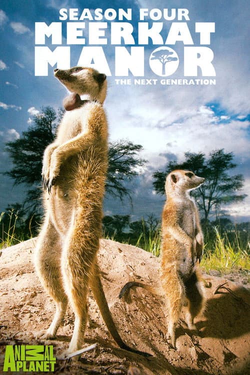 Meerkat Manor The Next Generation poster