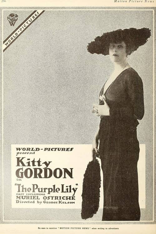 The Purple Lily