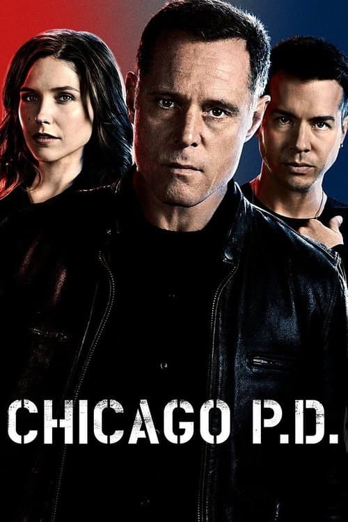 Chicago P.D. Season 2 poster