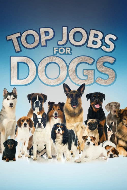 Top Jobs for Dogs Season 1 poster